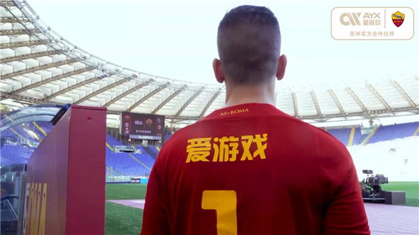 价格引进合